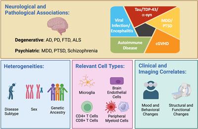 The role of interferon signaling in neurodegeneration and neuropsychiatric disorders